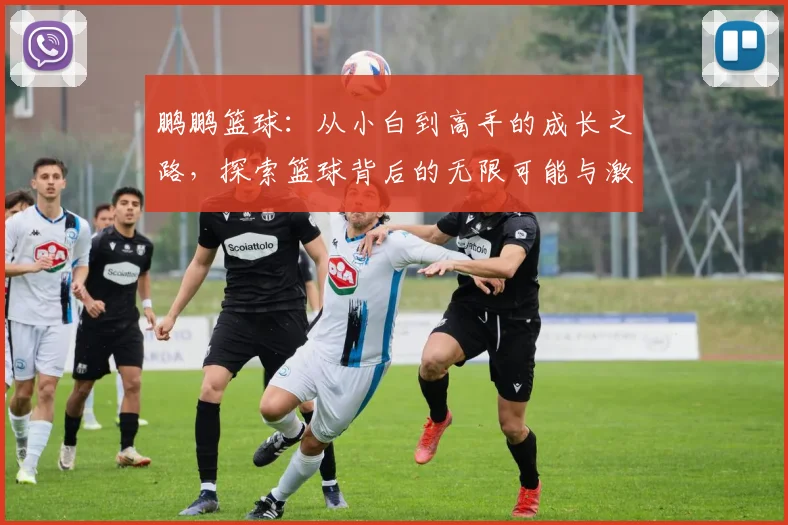 鹏鹏篮球：从小白到高手的成长之路，探索篮球背后的无限可能与激情